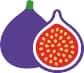 Fig