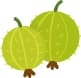 Gooseberry